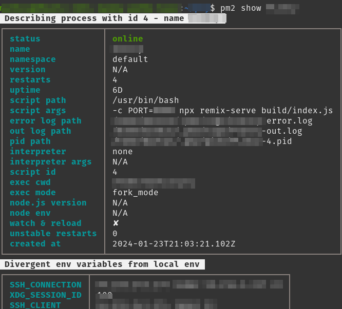 pm2 show command